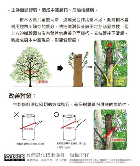 不良枝|正確修剪樹木方法，了解樹木修剪季節、需準備工具與修樹價格估。